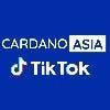Cardano_Asia Team