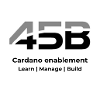 45B - Cardano Enablement