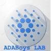 ADABoys LAB