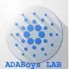 ADABoys LAB